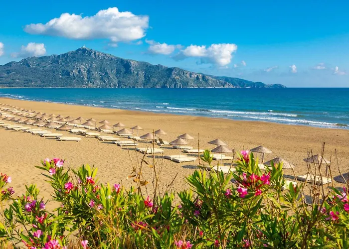 Portakal Blossom Dalyan