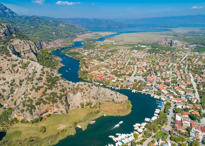 Willa Portakal Blossom *